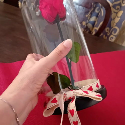 Eternal rose in glass dome with wooden base, like new