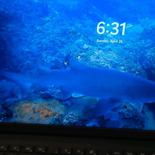 Dell Inspiron 3511 laptop with Intel Core i7, 16GB RAM, 512GB SSD, Windows 11