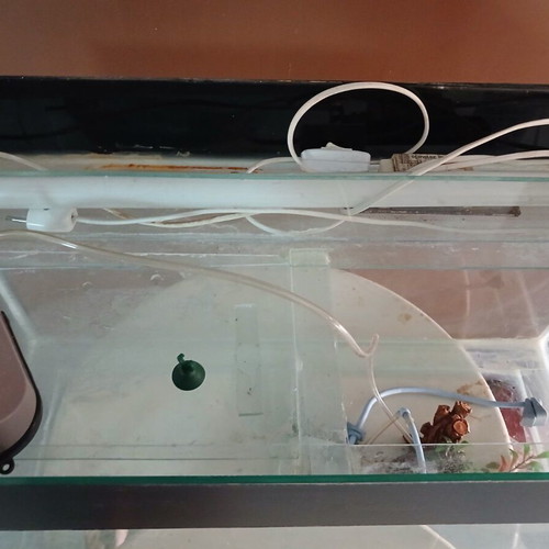 Aquarium used with lighting, filter, oxygen device, and decoration