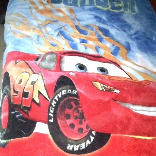 McQueen Velour Blanket used for double bed
