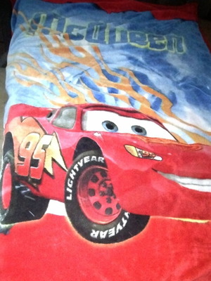 McQueen Velour Blanket used for double bed