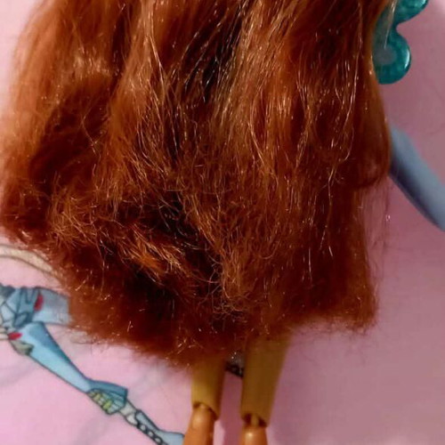 Winx Club Aisha Layla Fairy School doll like new with wings and authentic outfit