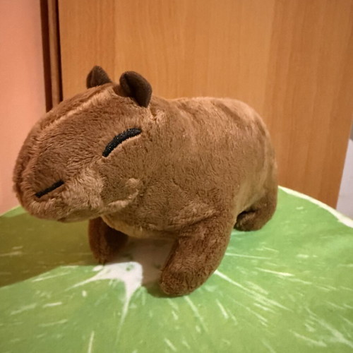 Capybara Plush Toy like new, soft and adorable