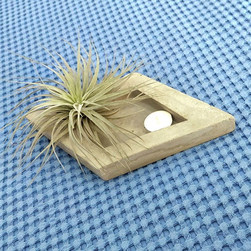 Handmade concrete decorative base for air plants and accessories