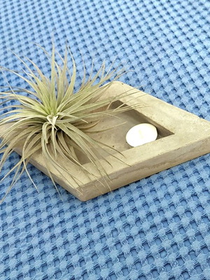 Handmade concrete decorative base for air plants and accessories