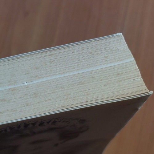 Diana The Private Life Biography book used