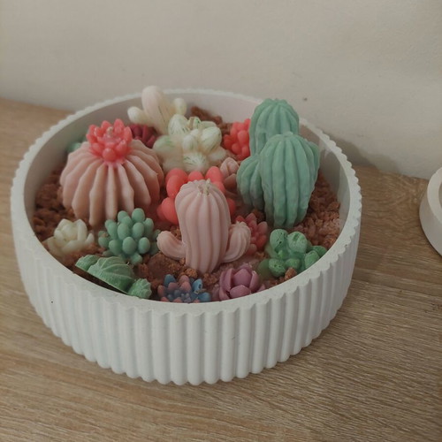 Cactus Garden Handmade Decorative Candle New, scented
