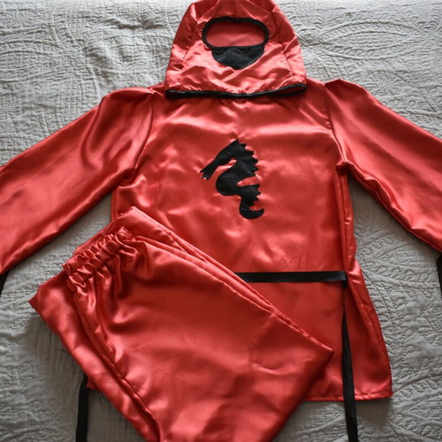 Carnival costume for boys 12 years like new