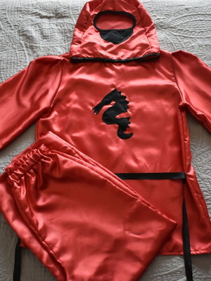 Carnival costume for boys 12 years like new