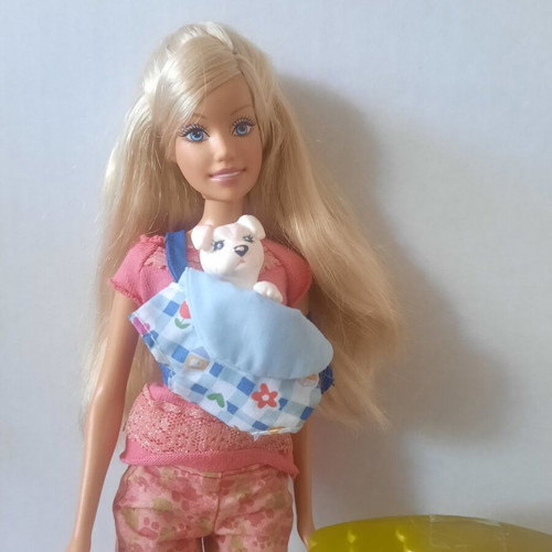 Mattel Barbie I Can Be Pet Sitter playset used with puppies and accessories
