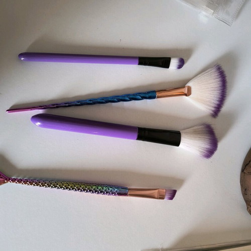 Makeup brushes used with case