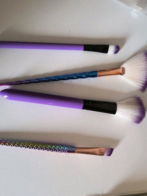 Makeup brushes used with case