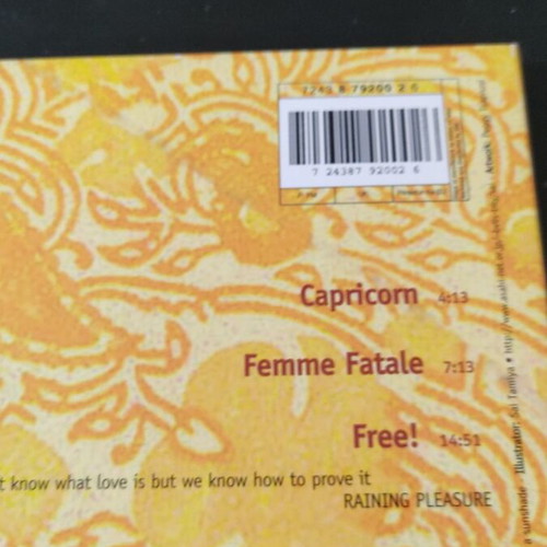 Raining Pleasure Capricorn EP used, rock