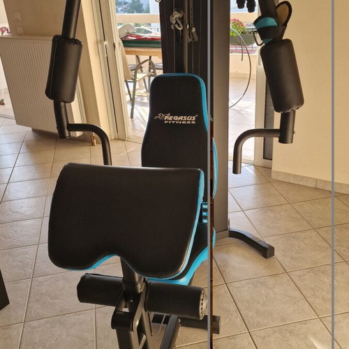 Pegasus JX-DS913 fitness machine like new