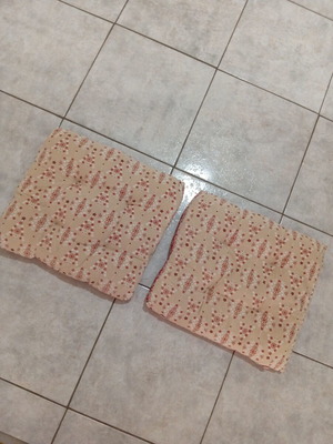 Chair cushions used, pair