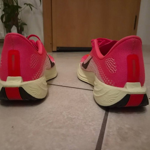 Nike Pegasus Plus running shoes, multicolor, size 44.5