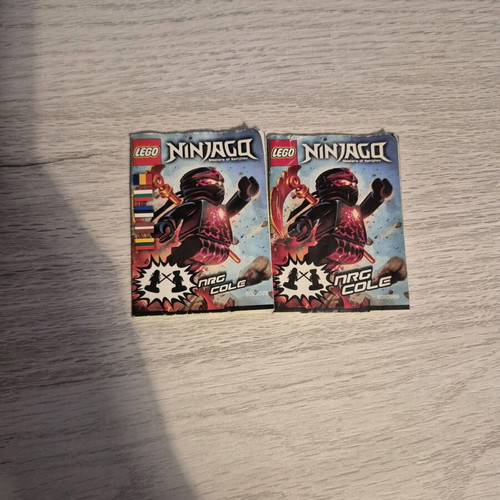 Lego Ninjago NRG Cole books like new
