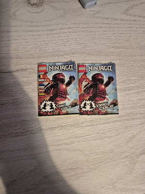 Lego Ninjago NRG Cole books like new