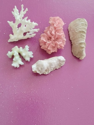 Various coral and cave rocks new