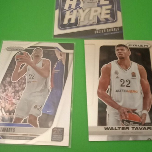 Panini Prizm 2024-25 Walter Tavares cards new, set of 3