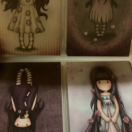 Santoro album new by Panini with cards