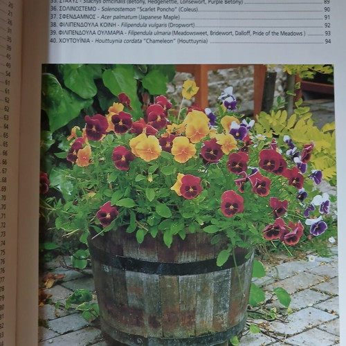 Plants in Pots Anthoculture Guide Volume 1 used