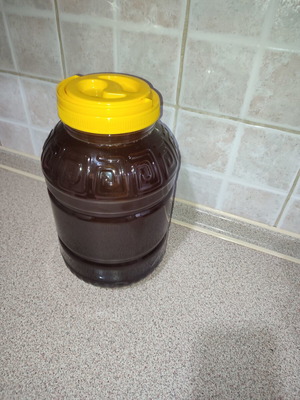 Chestnut honey new, 7 kg package