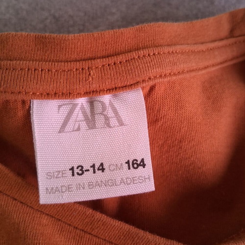 Zara girls' set used, brown and orange blouse with shorts