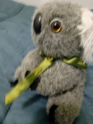 Koala stuffed toy used