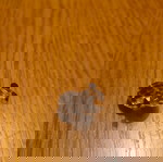  Μινιατούρα μικρό πάντα Swarovski