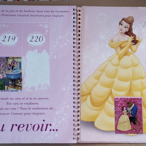 Panini Disney Princess Sticker Album used French edition