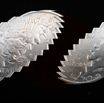  1922 USA Peace  Dollar **SILVER**