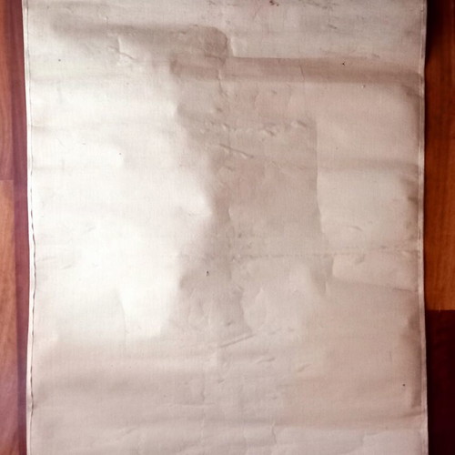 School Natural History Map like new, 82.5×62.5 cm