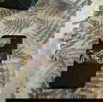 Θήκες iPhone 15 Pro Max σαν καινούργιες, 9 τεμάχια με powerbank και τζαμάκια Spigen