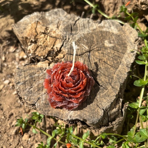 Rose Candle Passion Red new