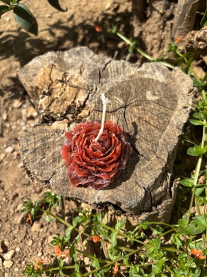Rose Candle Passion Red new