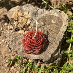 Rose Candle Passion Red new