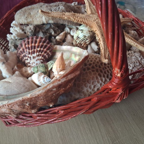 Basket with seashells like new