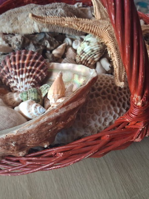 Basket with seashells like new