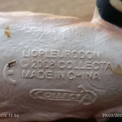 Liopleurodon sea dinosaur used, length 17cm