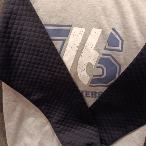 Alouette sweatshirt for 16-year-olds like new, gray and blue