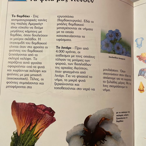 Children's knowledge book used
