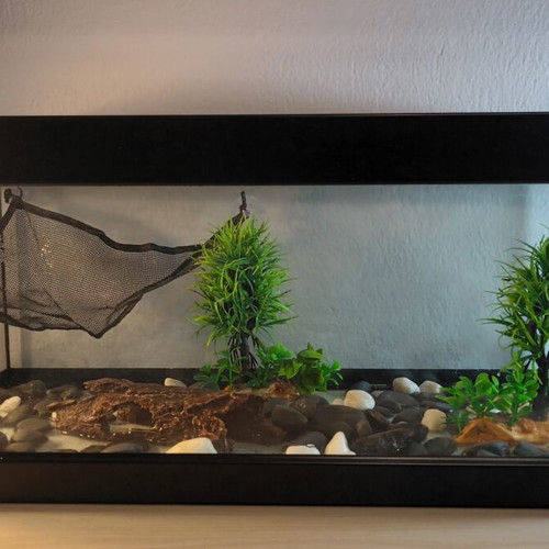 Greek Coral Fish Aquarium 63L used with filter, lighting, and decoration