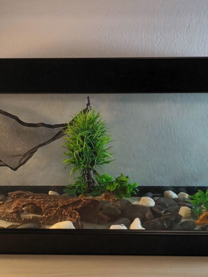 Greek Coral Fish Aquarium 63L used with filter, lighting, and decoration