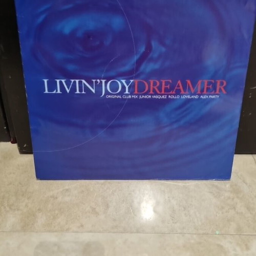 Vinyl Livin Joy Dreamer used