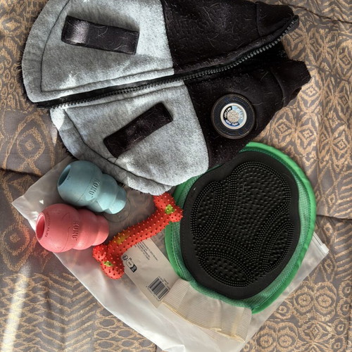 Accessories for small dogs used