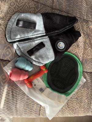 Accessories for small dogs used