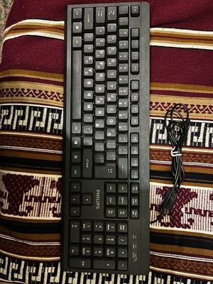 Philips SPT6224 Keyboard and Microsoft Wheel Mouse Optical 1.1 like new