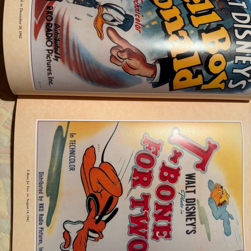 Disney Poster Book volume like new, posters from Disney movies