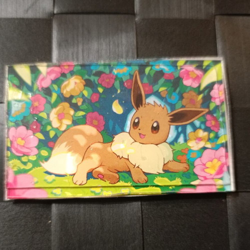 Pokemon magnet, handmade